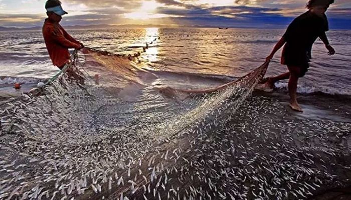 65-Day Fishing Ban at Sea to Begin from Friday  