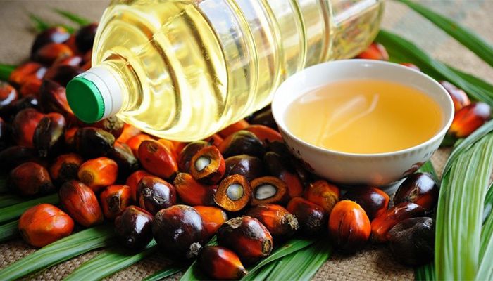 Malaysia May Cut Palm Oil Export Tax amid Global Supply Crisis