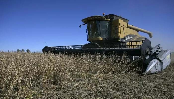 Soy Boon for Argentina As Ukraine War Boosts Prices   