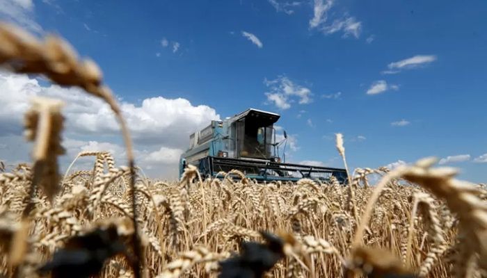 A combine harvests wheat in a field in the Kyiv region, in 2020 || Reuters Photo