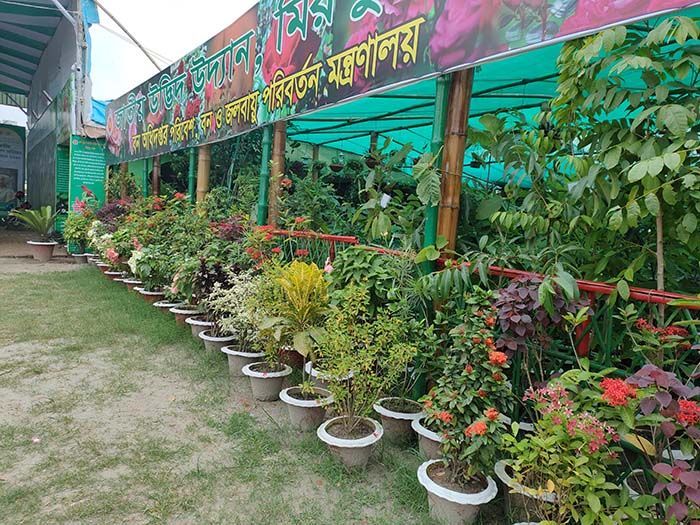 8 lakh 68 thousand 42 saplings have been sold in the fair till June 19. Its selling price is 5 crore 26 lakh 41 thousand 790 taks. The number of stalls in the fair is total 117.