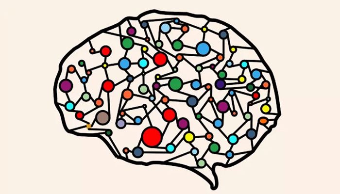 Scientists Map Brain Network Linked to Addiction 