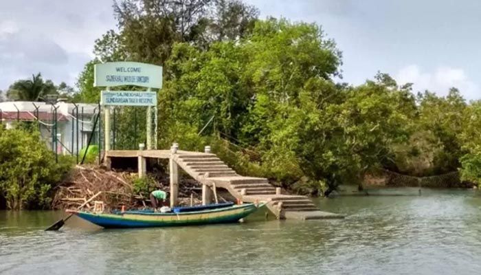 Padma Bridge to Bring Good Fortune for Sundarbans Tourism  
