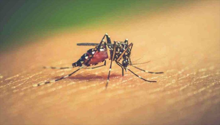 Anti-Mosquito Drive Starts from Wednesday: Taposh   