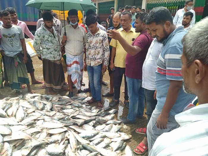 Men who left with their nets and trawlers in the morning were seen returning with a vessel full of Hilsa fish. 