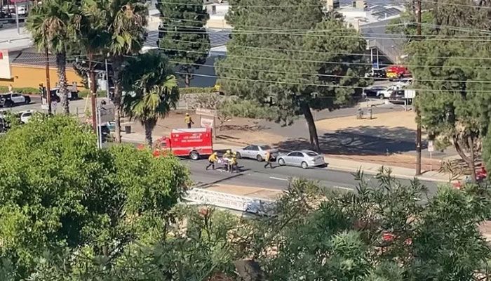 2 Dead, 5 Wounded in Shooting at Los Angeles Park  