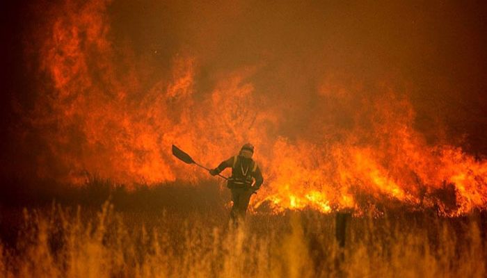 Wildfires Spread across Heatwave-Hit Europe   