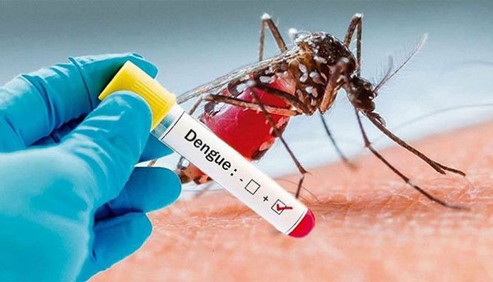 73 New Dengue Patients Hospitalized in 24 Hrs    