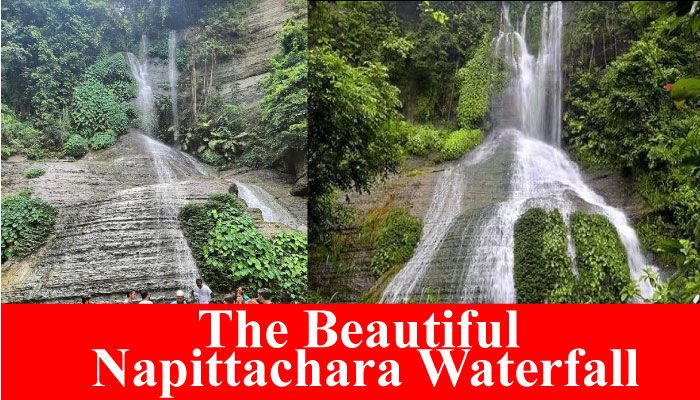 Napittachhara Trail: Three Waterfalls Full of Diversity