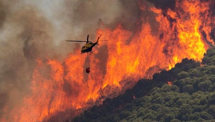 Forest Fires Rage in Scorching Southwest Europe  