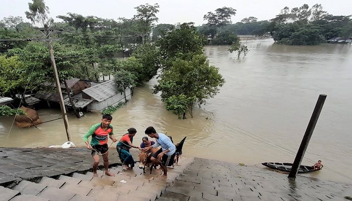 Flood in Sylhet || Photo: Collected 