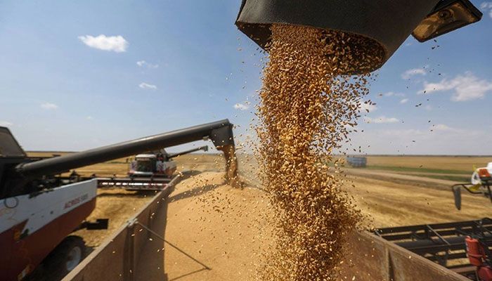 Ukraine, Russia to Sign Elusive Grain Deal in Turkey     