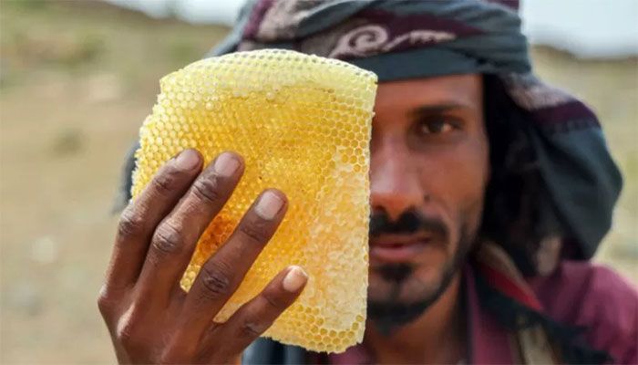 Yemen's Ancient Honey Production a Victim of War, Climate Change  