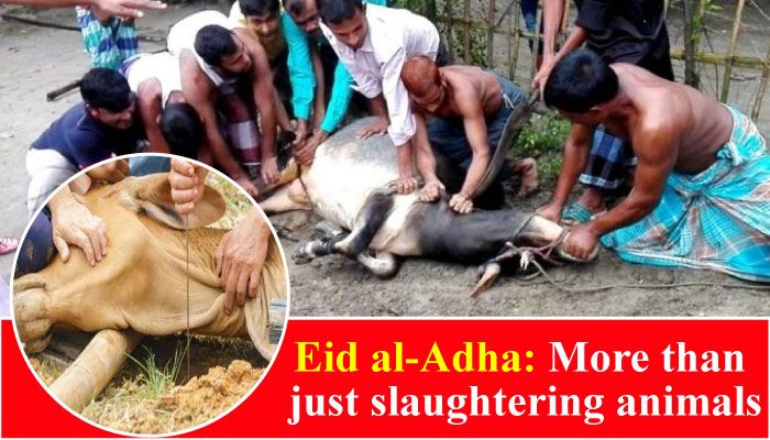 Eid al-Adha: More Than Slaughtering Animals 