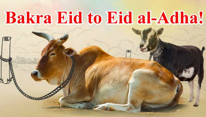 Bakra Eid to Eid al-Adha!  