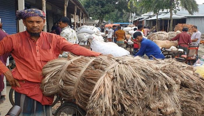 Jute Growers Paying For Discoloured Fibre due to Drought 
