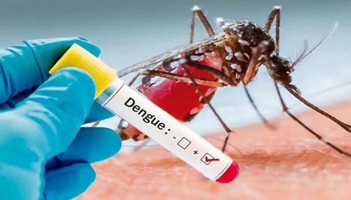 Dengue: 54 New Cases Reported  