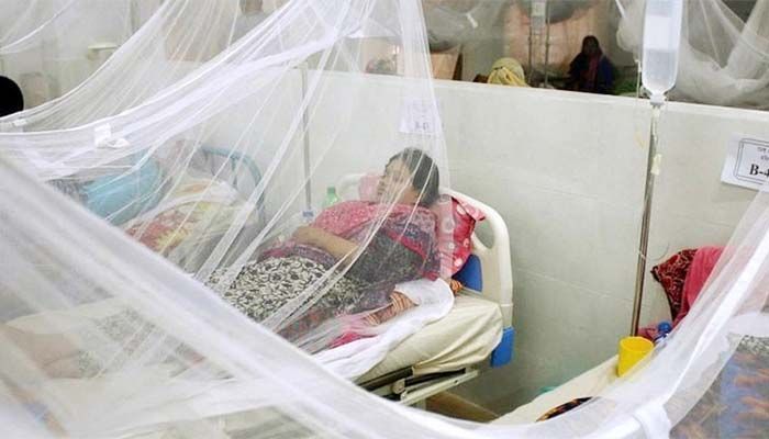 53 Dengue Patients Hospitalized in 24 Hrs