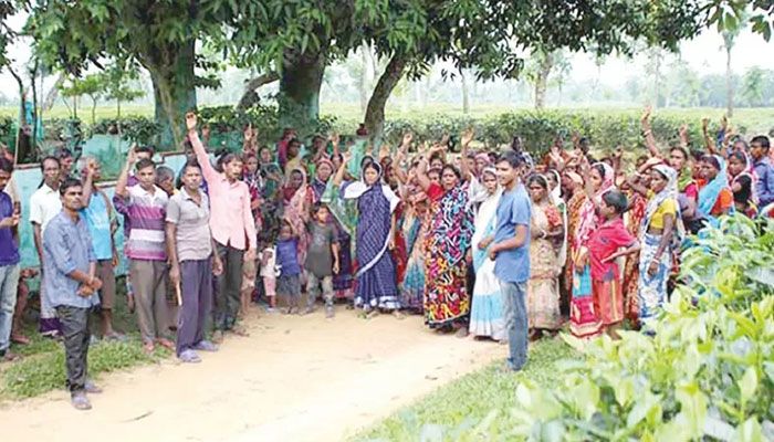 Workers stage a demonstration recently at a tea garden in Sylhet demanding a hike in their daily wages || Photo: Collected 