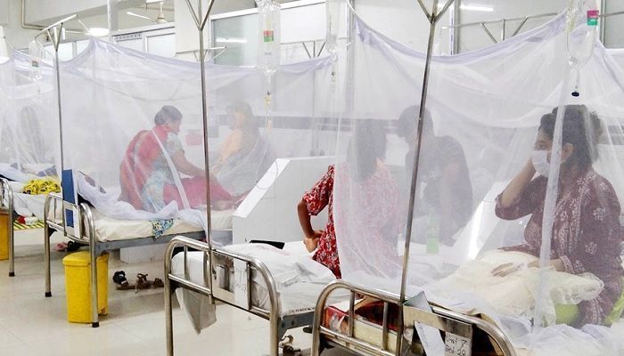 1,560 Dengue Patients Undergoing Treatment at Hospitals