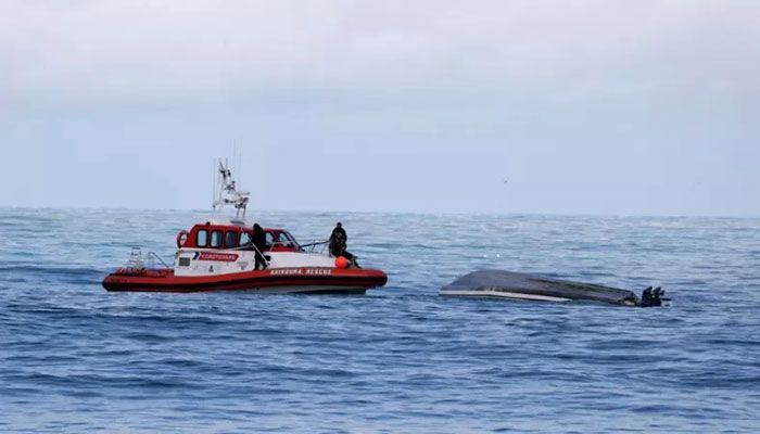 Five Dead after NZ Boat Reportedly Collides with Whale 