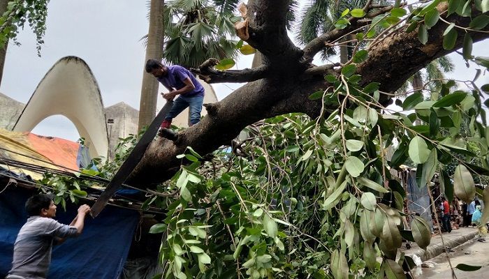 State Minister for Disaster Management Now Warns of December Cyclone