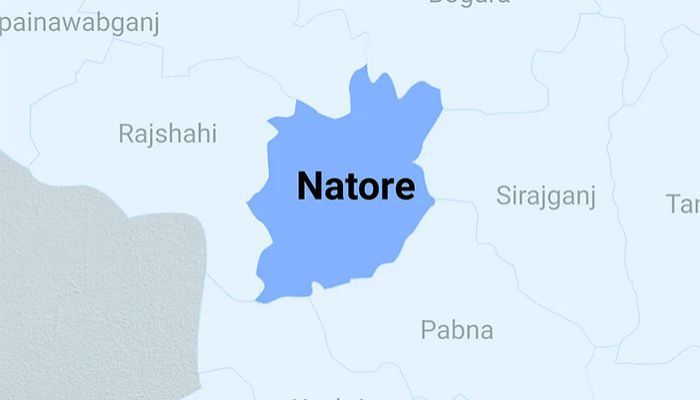 Natore Map || Photo: Collected 