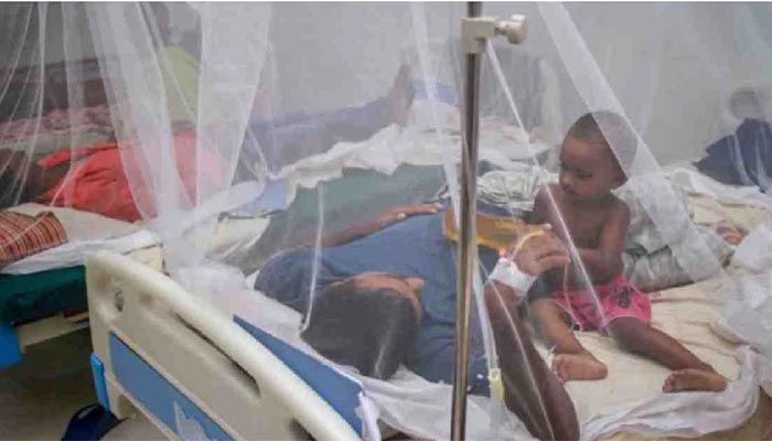 2 Dengue Patients Die, 568 Hospitalized 