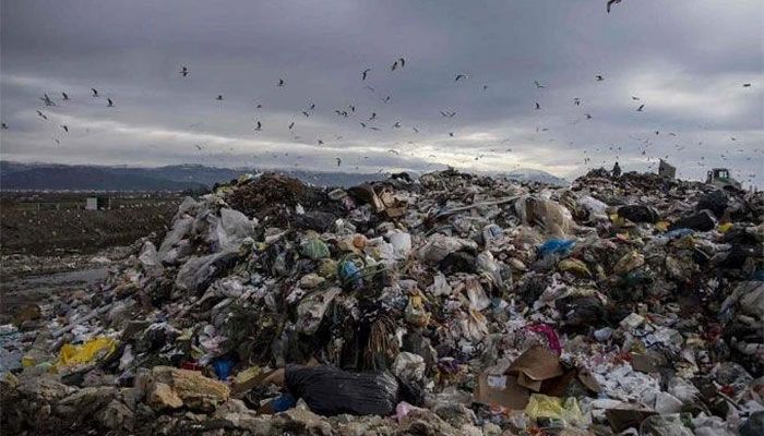 Rubbish Reform: Changes to Waste Management Could Slash Emissions 
