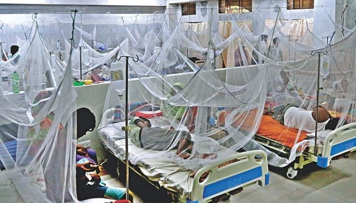 Dengue Claims Five Lives, Death Toll Now 141