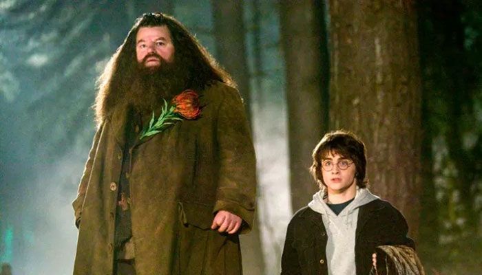 Harry Potter's Hagrid, Robbie Coltrane, Dies Aged 72   