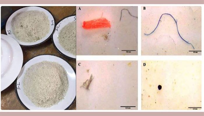 NSTU Researchers Found Microplastics in Food Salt