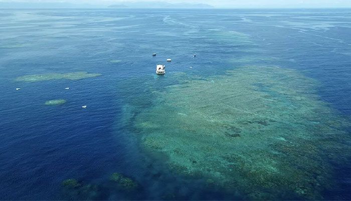 Australia Argues against 'Endangered' Barrier Reef Status   