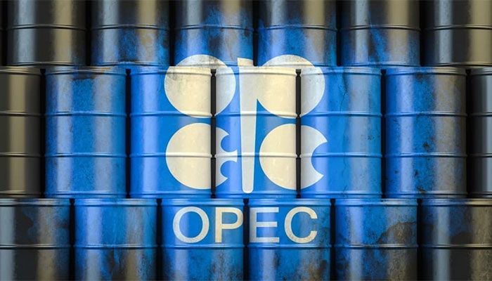 OPEC+ Countries Cut Output by 40,000 bpd in October: IEA  