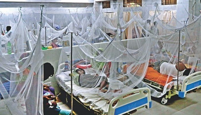 Dengue Claims Six Lives, 559 Hospitalized in 24 Hrs