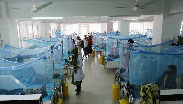 Three Dengue Patients Die, 859 Hospitalized in 24 Hrs