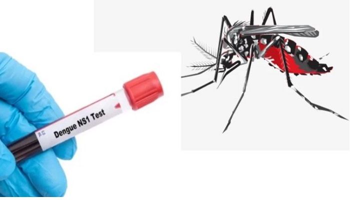 Govt Fixes Cost of Dengue Test