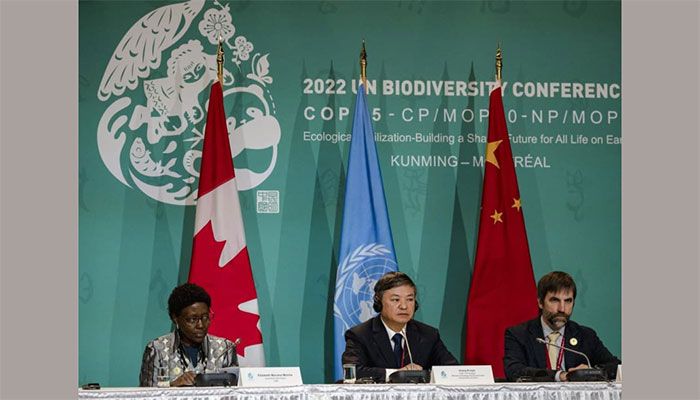 Draft UN Biodiversity Deal Calls to Protect 30% of Planet by 2030 