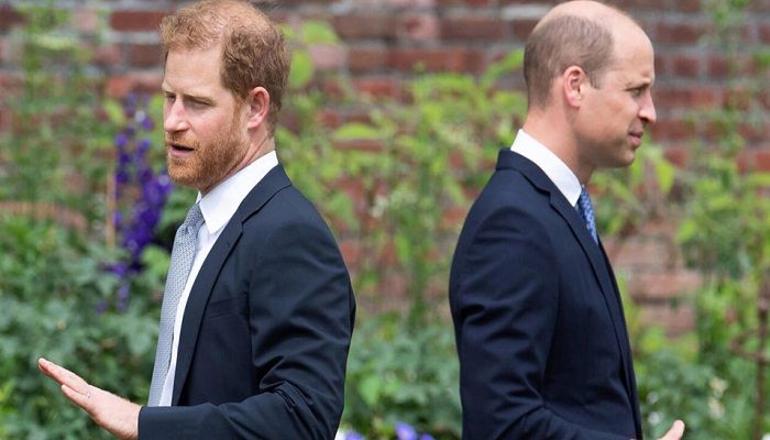 'Gloves off' As Prince Harry Takes Aim at Brother in Netflix Series