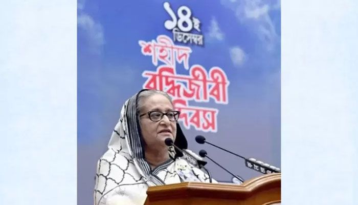 We Uphold Human Rights in Bangladesh: PM