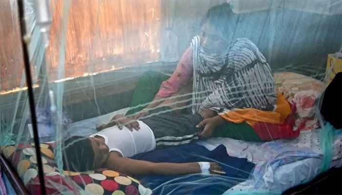 220 More Dengue Patients Hospitalised in 24 Hrs  