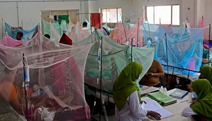 16 Dengue Patients Hospitalised in 24 Hrs