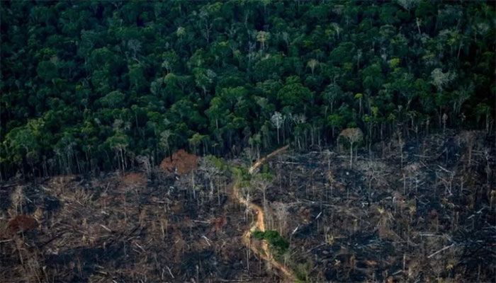 Aerial view show a deforested area of Amazonia rainforest in Labrea, Amazonas state, Brazil, September 15, 2021 || AFP Photo: Collected  
