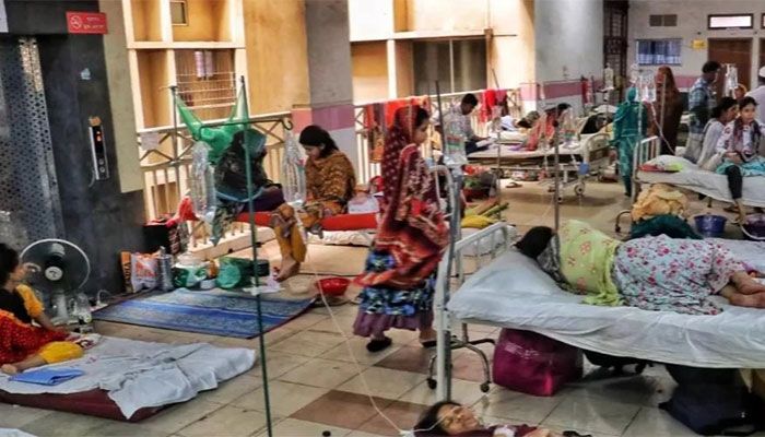 38 More Dengue Patients Hospitalised in 24 Hrs: DGHS 