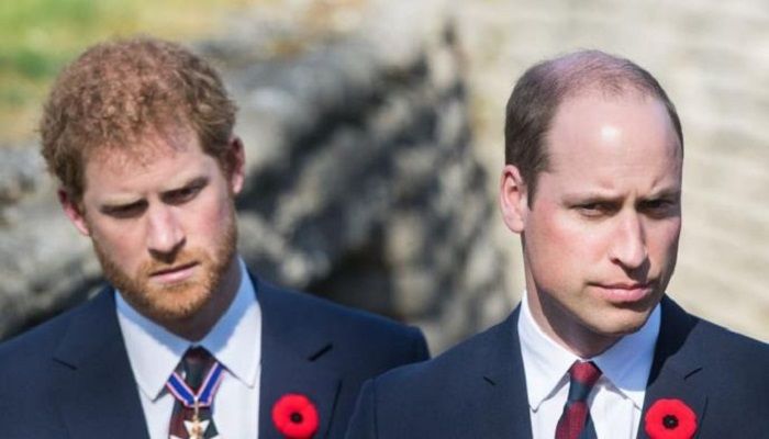 Prince Harry Accuses Brother Prince William of 2019 Physical Attack