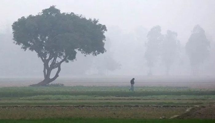 Bangladesh Sees Slight Improvement in Lowest Temperature 