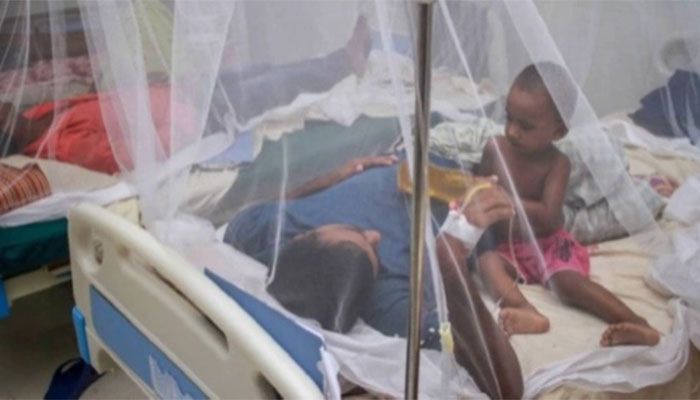 Bangladesh Reports 2 More Dengue Deaths, 14 New Cases  