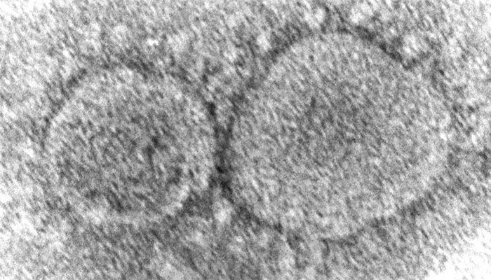 Coronavirus Origins Still a Mystery 3 Years Into Pandemic 