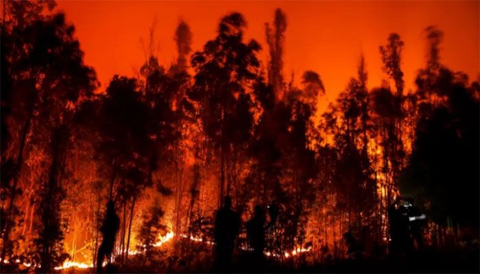 Death Toll in Chile Forest Fires Rises to 23