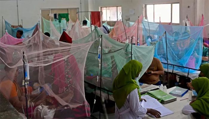 Dengue: One More Dies, 4 Patients Hospitalised 